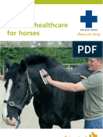 H8 Routine Healthcare For Horses