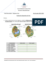 Evaluacion Diagnostica Naturales de 5to 2022-2023