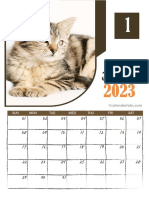 2023 Cat Wall Calendar