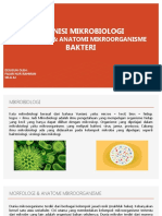 Mikrobiologi (Kelompok 8)