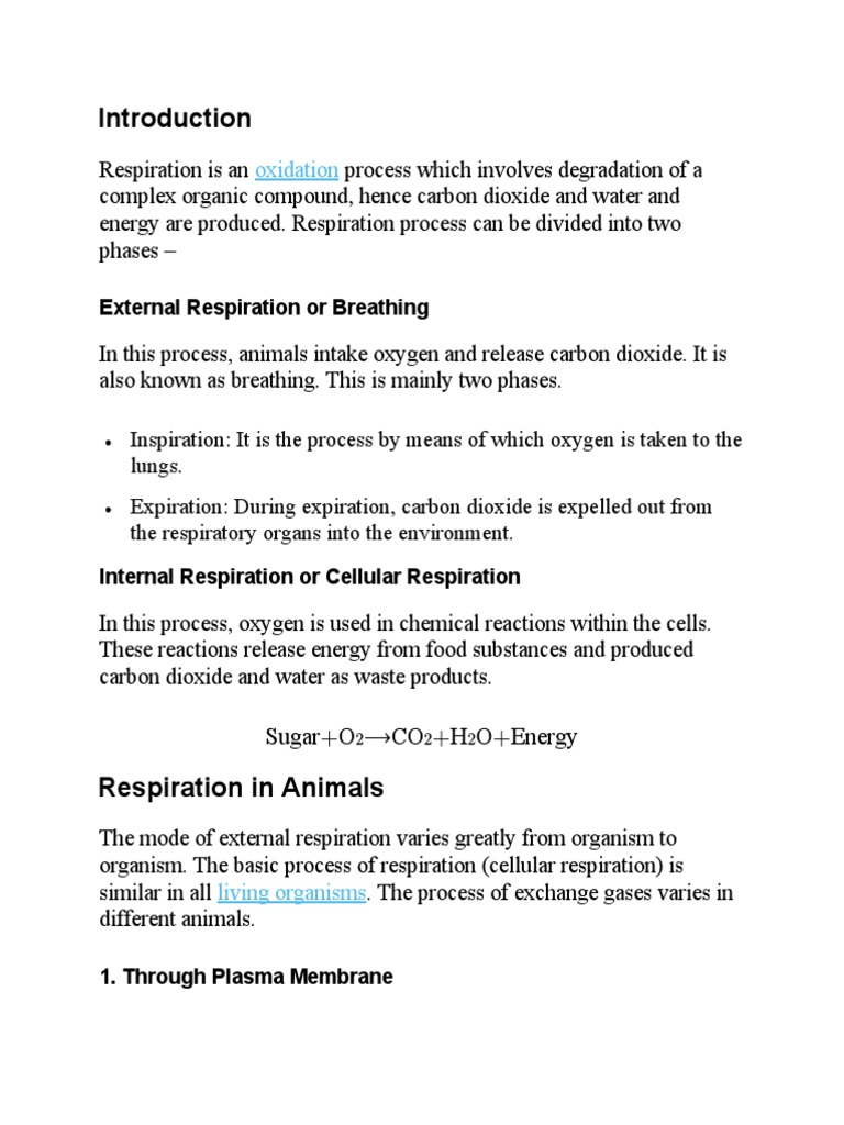 Introduction Breathing Pdf Gill Respiratory System