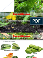 Olericultura - Cucurbitaceae