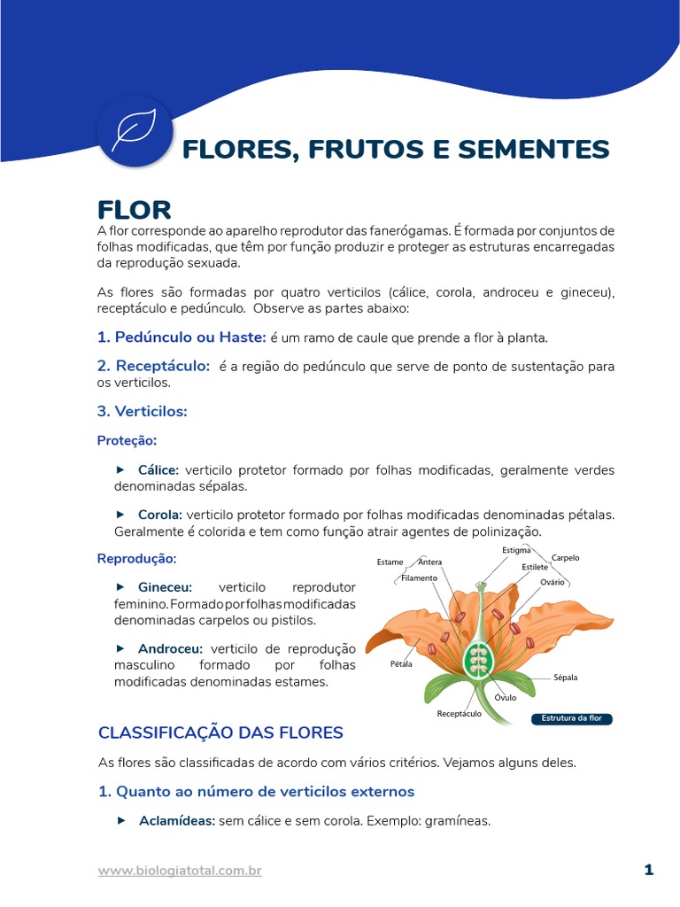 Estrutura e Classificação das Flores | PDF | Semente | Flores