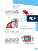 SUP - AP - Anatomia Humana - Anatomia Do Coração e Sistema Cardiovascular