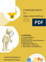 Comportamentul Organizational