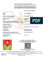 The Indonesian Health Workforce Council: Registration Certificate of Health Promoter