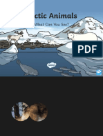 Arctic Animals