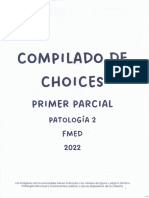 Choices Pato 2 - Cande