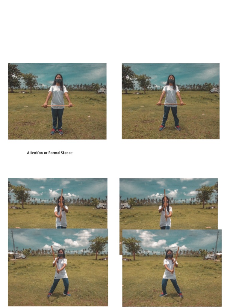 Attention or Formal Stance PDF