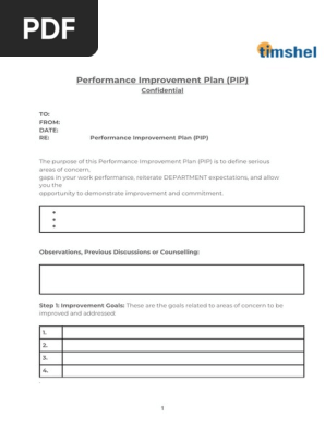 Performance Improvement Plan (PIP)
