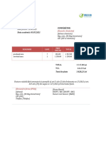 Model Factura Pfa