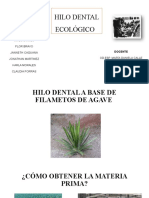 Hilo Dental Ecológico