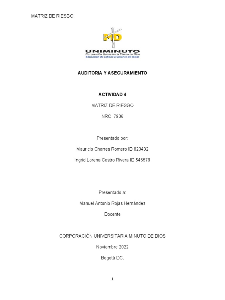 Matriz de Riesgo en Auditoría Contable | PDF | Contabilidad | Auditoría