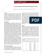 Litter Size Response To Oestrous Induction With Deslorelin Ovuplant in Dogs