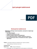 Endospórás Patogének 2020