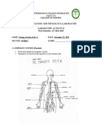 Activity 8 Lymphatic and Heart System