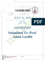 DSM Report