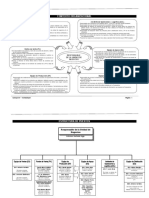 Estructura Organizacional