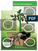 5-Part Process Postcard Portuguese Copy