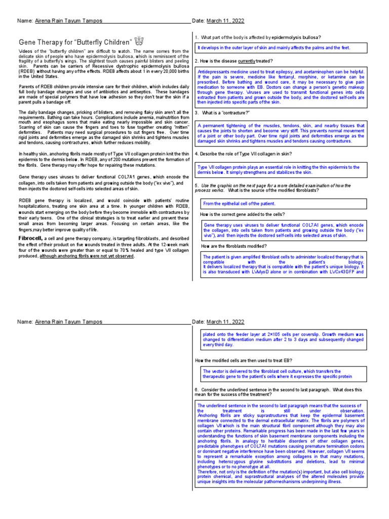 AIRENA TAMPOS (Article) Gene Therapy For The quot Butterfly Children quot 2 4