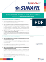 Gaceta SUNAFIL PDF