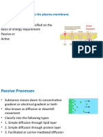 Drug Absorption Across Plasma Mem