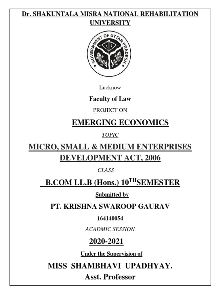 analysis-of-the-micro-small-and-medium-enterprises-development-act