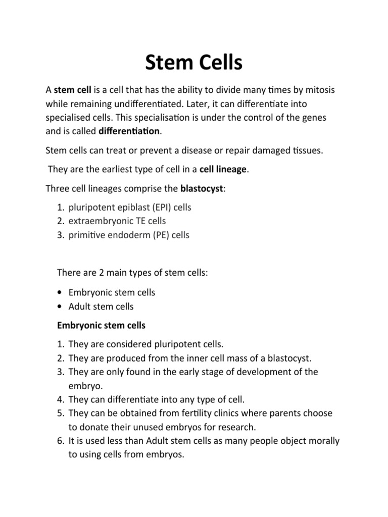 Types of Stem Cells Explained | PDF