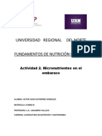 Micronutrientes esenciales durante el embarazo: Hierro, Calcio, Vitamina D, Ácido Fólico y Yodo