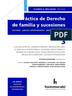 Practica de Familia Sucesiones Belluscio 3