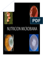 Nutricion Microbiana2
