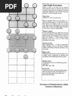 Ukulele Bart Workshop