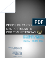 Perfildelcargosydelpostulanteporcompetencias 141114014713 Conversion Gate02