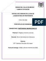 Práctica 7. Rigidez (Columna Cervical)