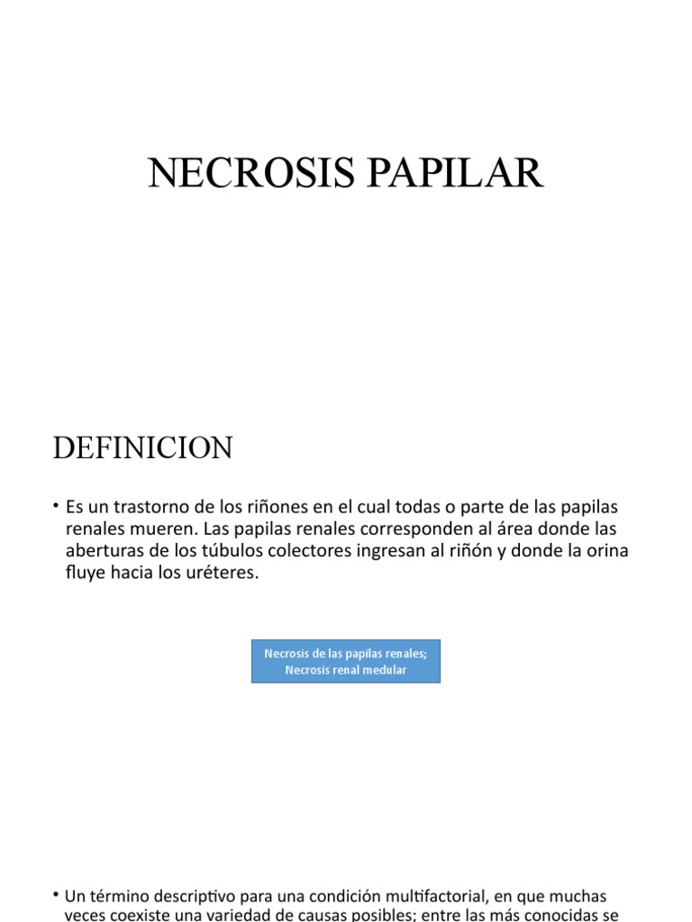 Necrosis Papilar | PDF | Riñón | Sistema urinario