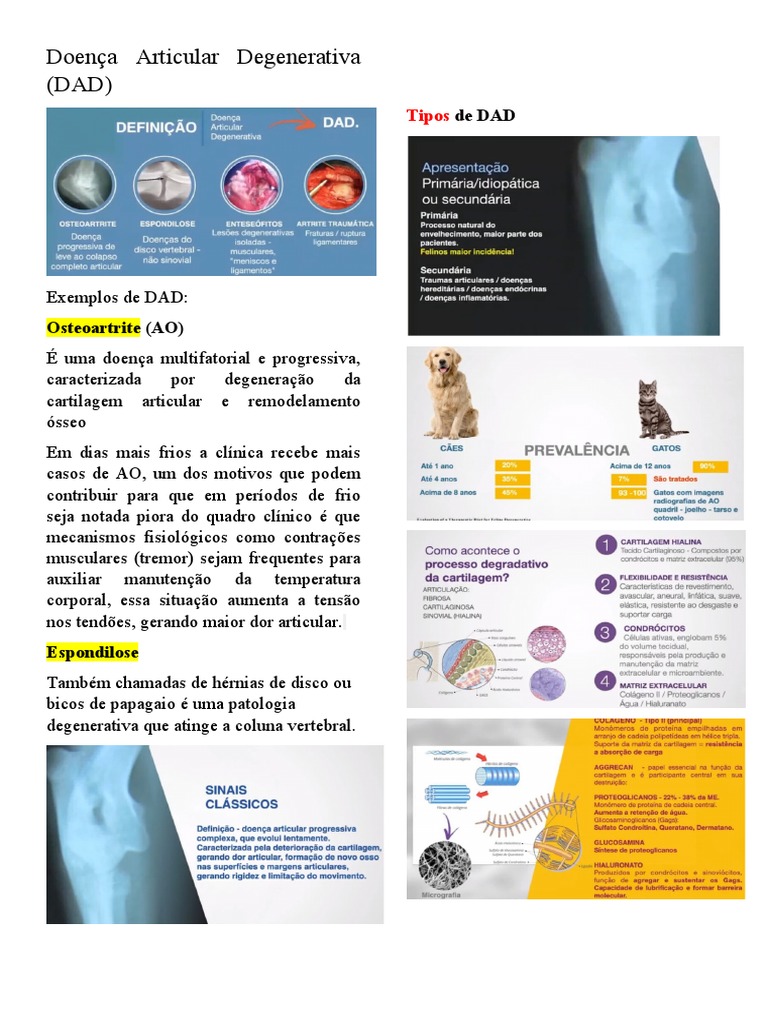 Doença Articular Degenerativa | PDF | Cartilagem | Causas de morte