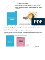 Úlceras de Córnea: Sinais, Causas e Tratamento