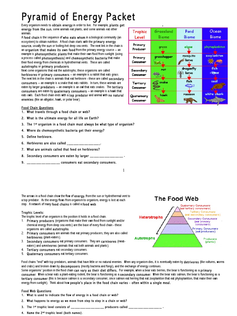 1 in Food Chains and Webs What Trophic Level Must You Have More of 
