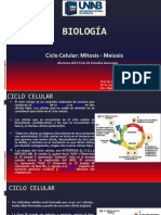 C I Clo Celular Mitosis y Meiosis