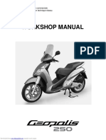 Peugeot Geopolis 250 Workshop Manual