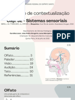 Sistema Sensorial - Stryer