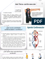 Actividad Cardiovascular UNE 7