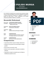 CV Josepulido Actualizado