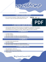 Sistema Endocrino - 5 Preguntas