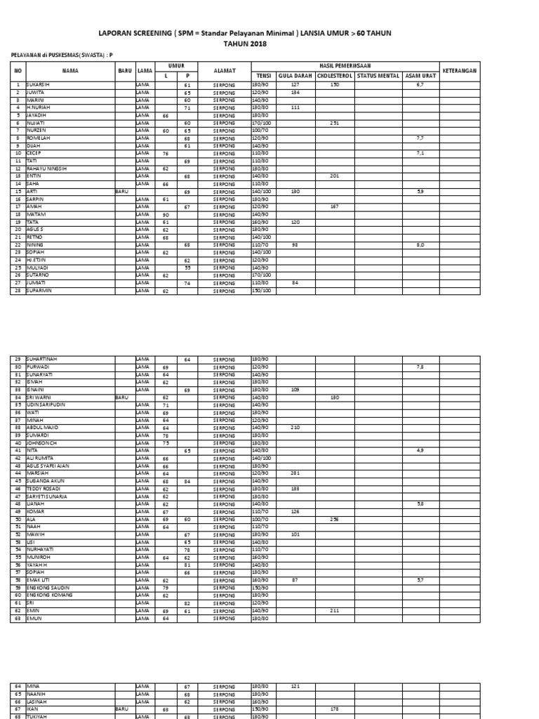 Form SPM Puskesmas Baru | PDF