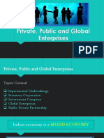 Public Private and Global Enterprise