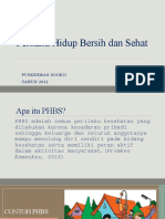 PHBS DRG Desy