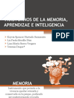 Trastornos de Aprendizaje, Memoria e Inteligencia