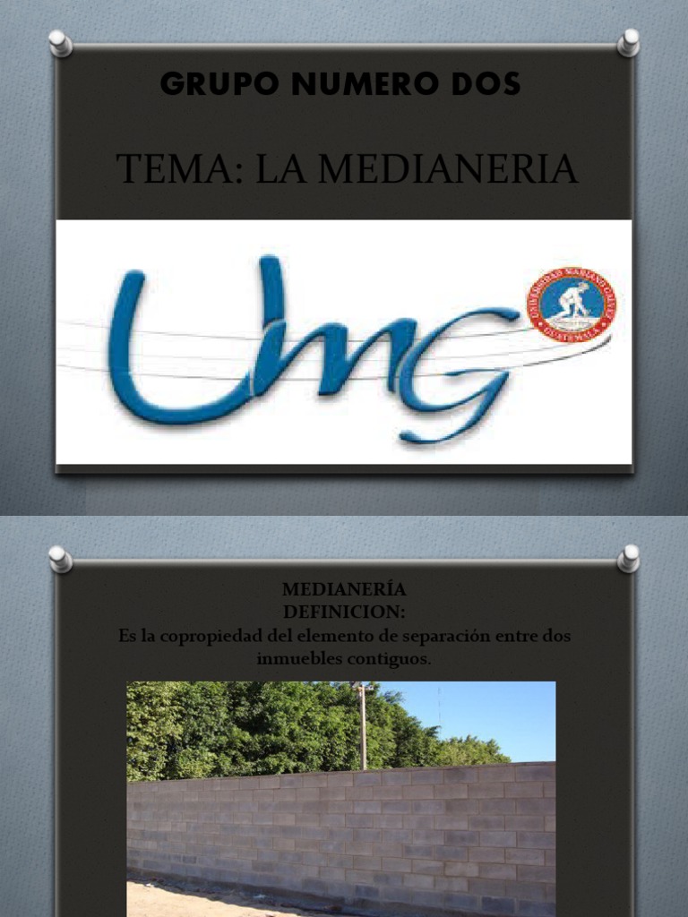 Deapositivas La Medianeria | PDF | Condominio | Propiedad