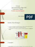 Pruebas de Microbiologia - PPTM